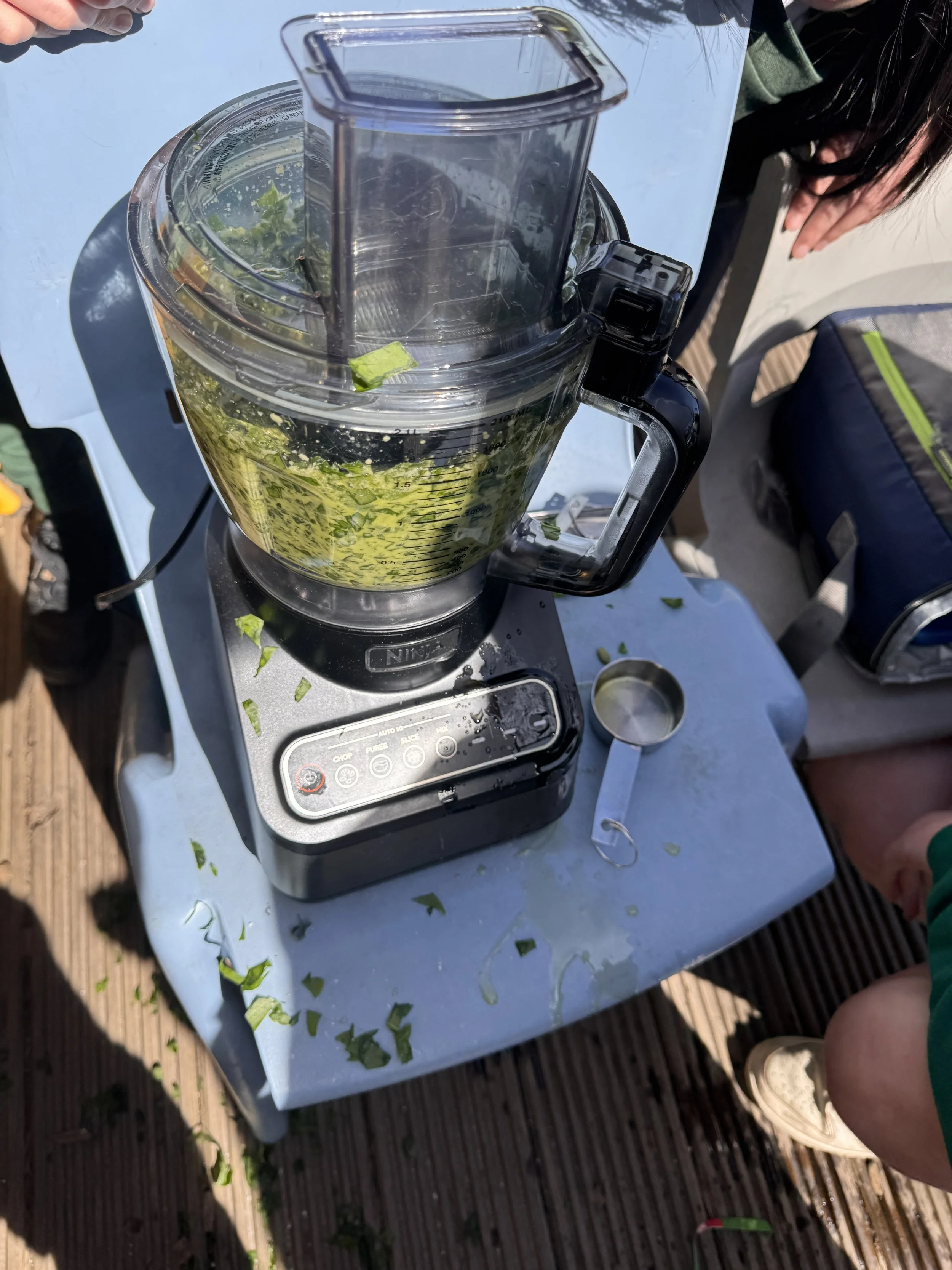 pesto blending.JPG