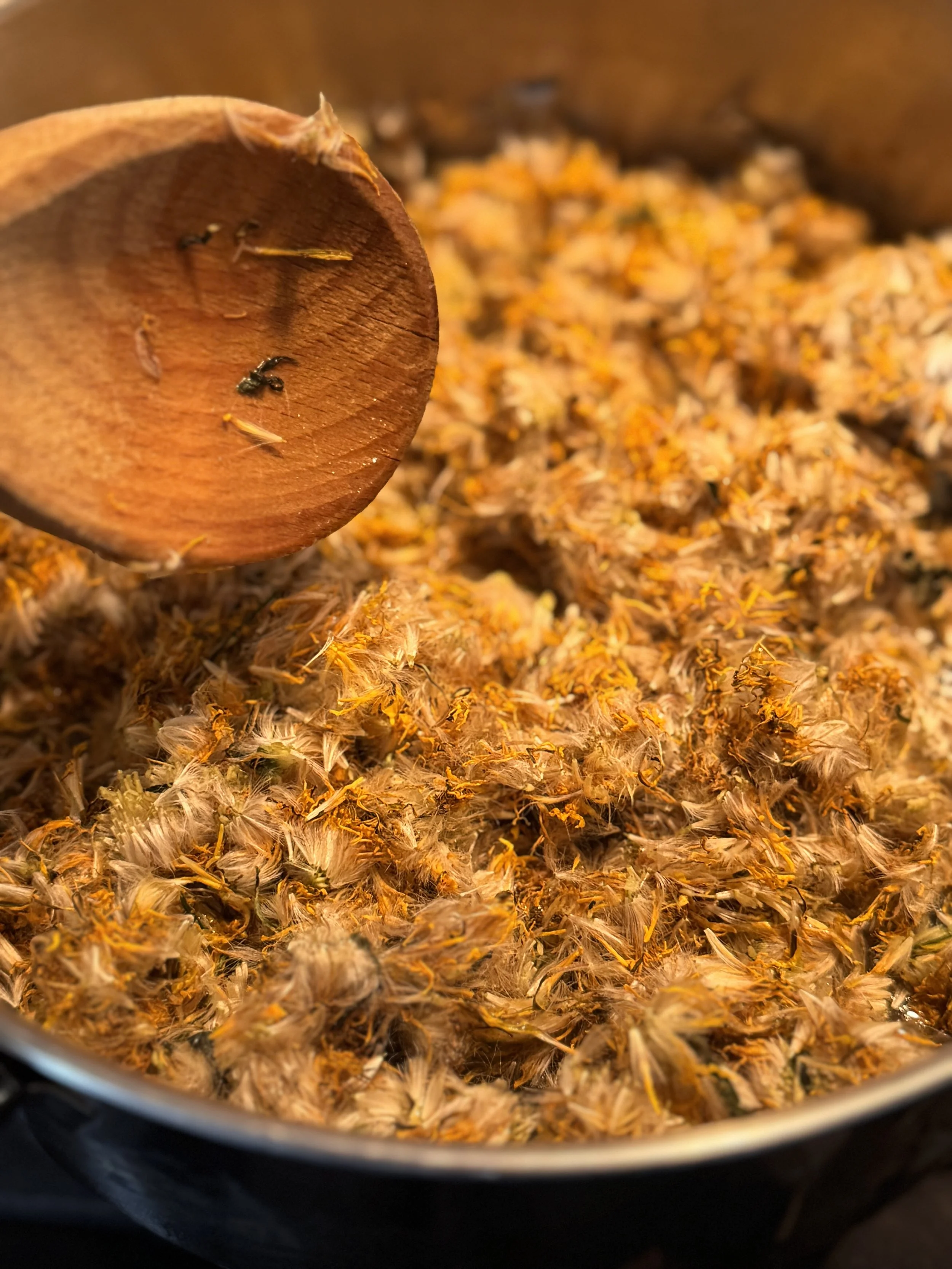dandelion cook petals.jpg