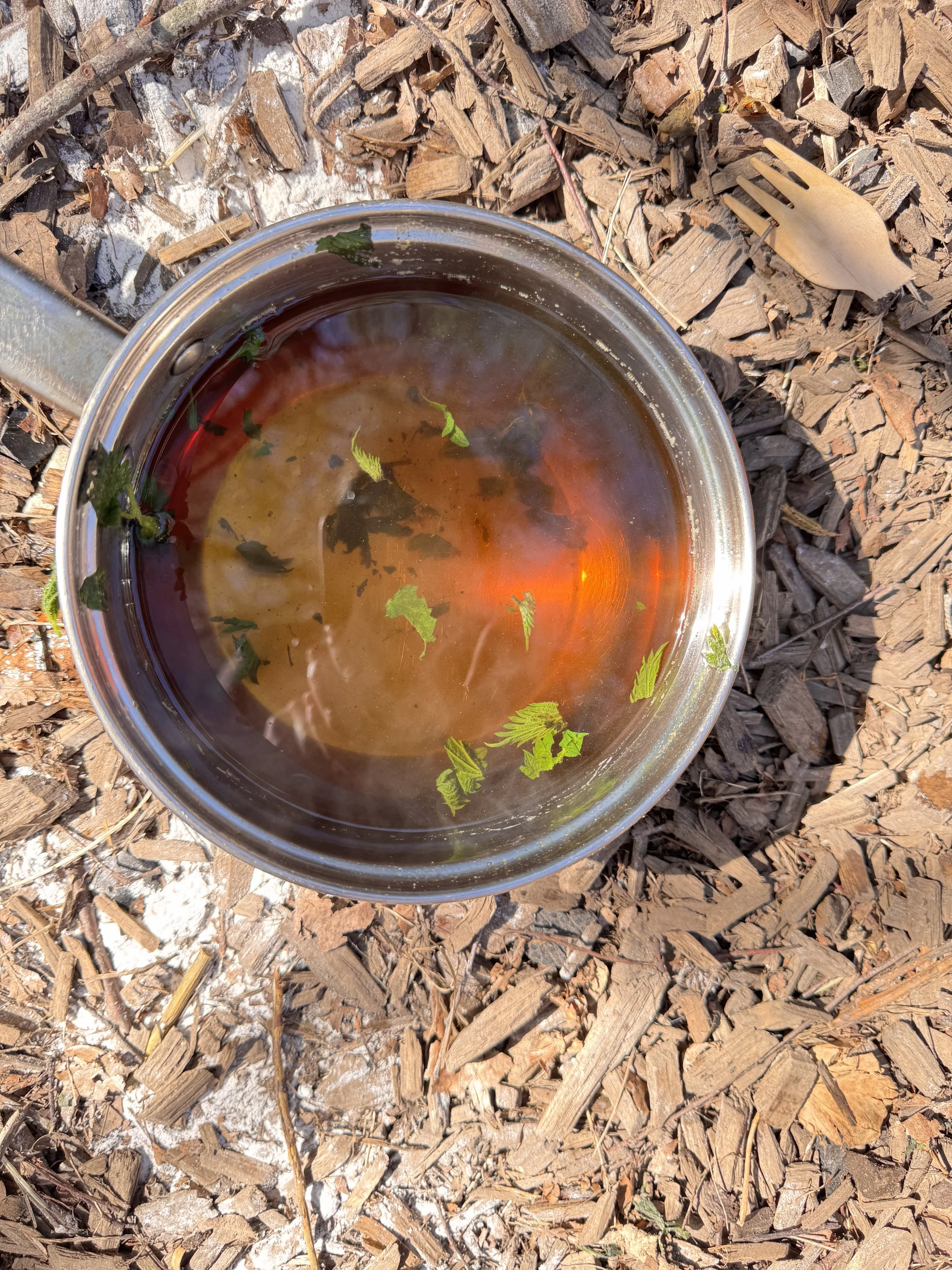 nettle tea.JPG