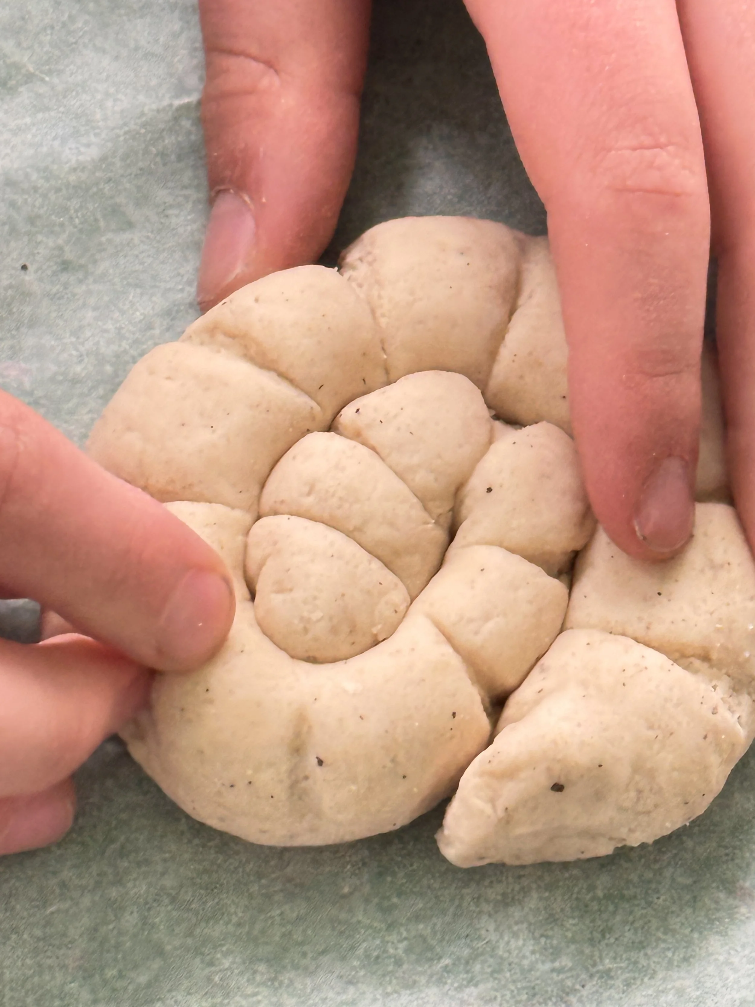fossil making 1.JPG