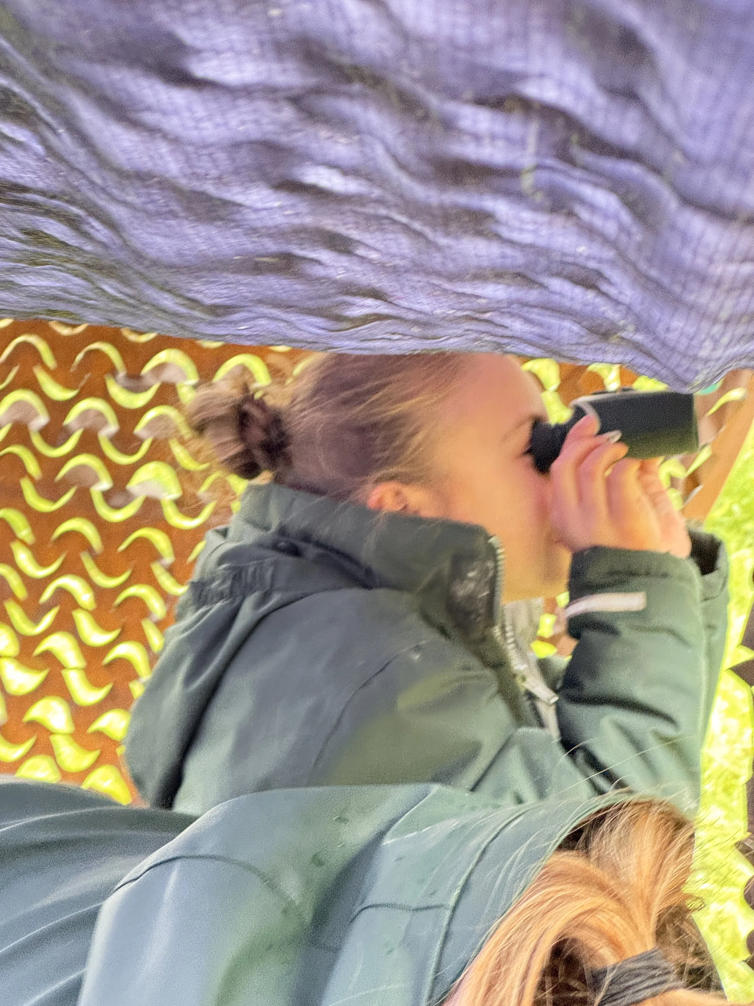 bird spotting hide.JPG