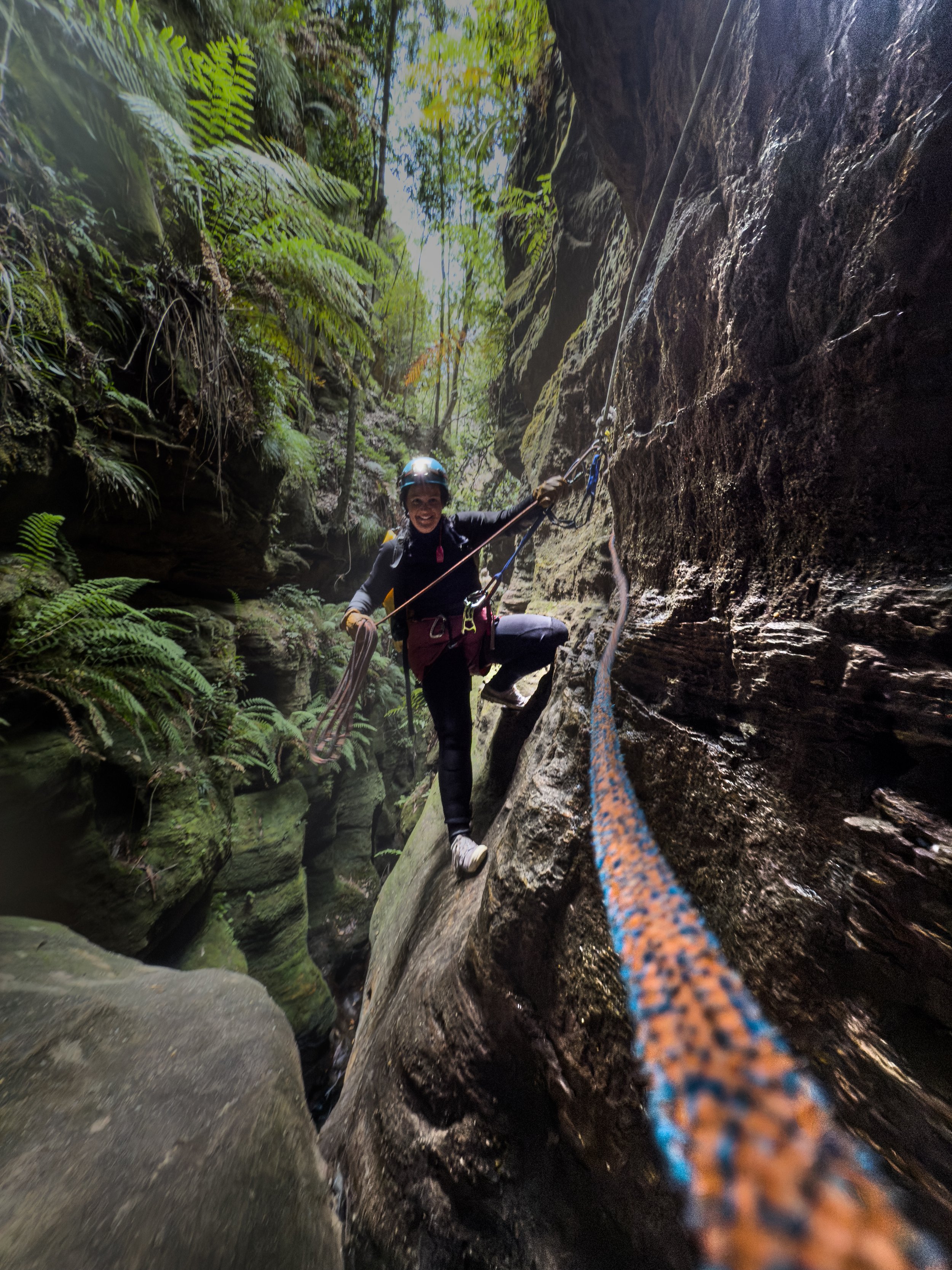 Anchor duties, Whungee Wheengee near Mt Wilson, Blue Mountains.