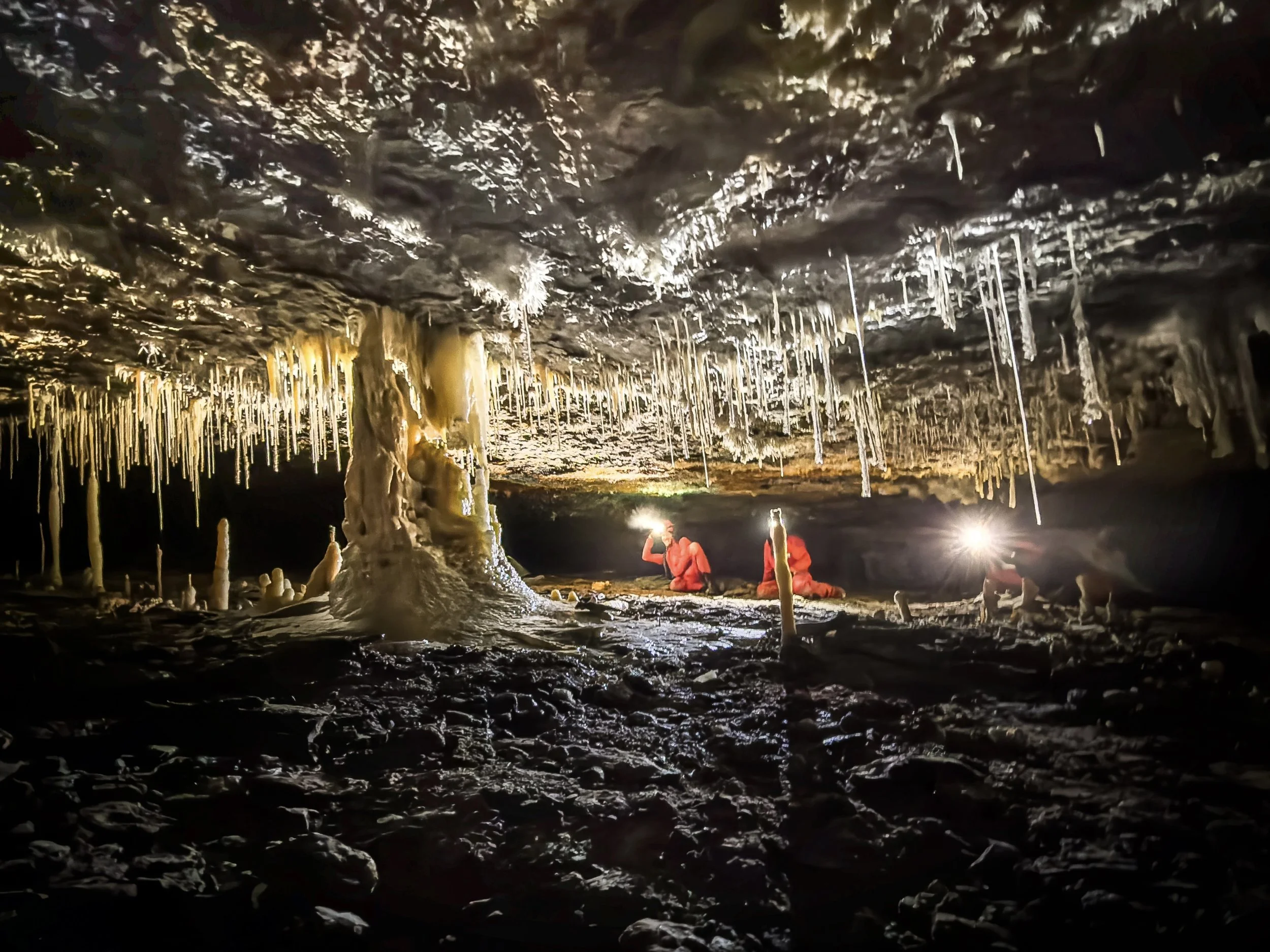 Beneath a forest of straw stalactites, cavers in red trog suits crouch under a low ceiling, headlamps glowing like distant embers in the dark.  Genghis Khan Cave,  Mole Creek Karst National Park, Tasmania.