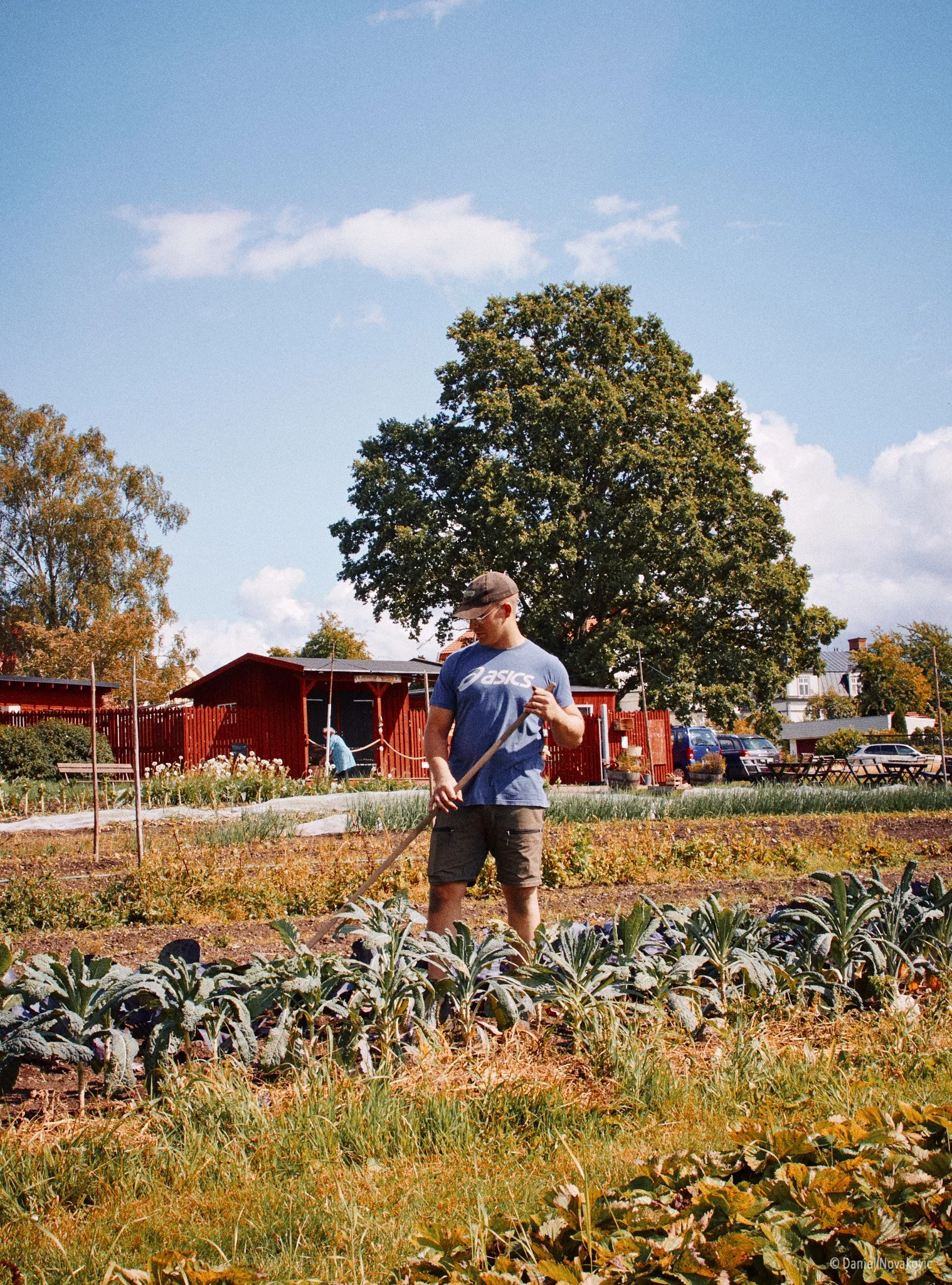 20230802- Picknick de luxe - IMG_8944 - Daniel Novakovic.jpg