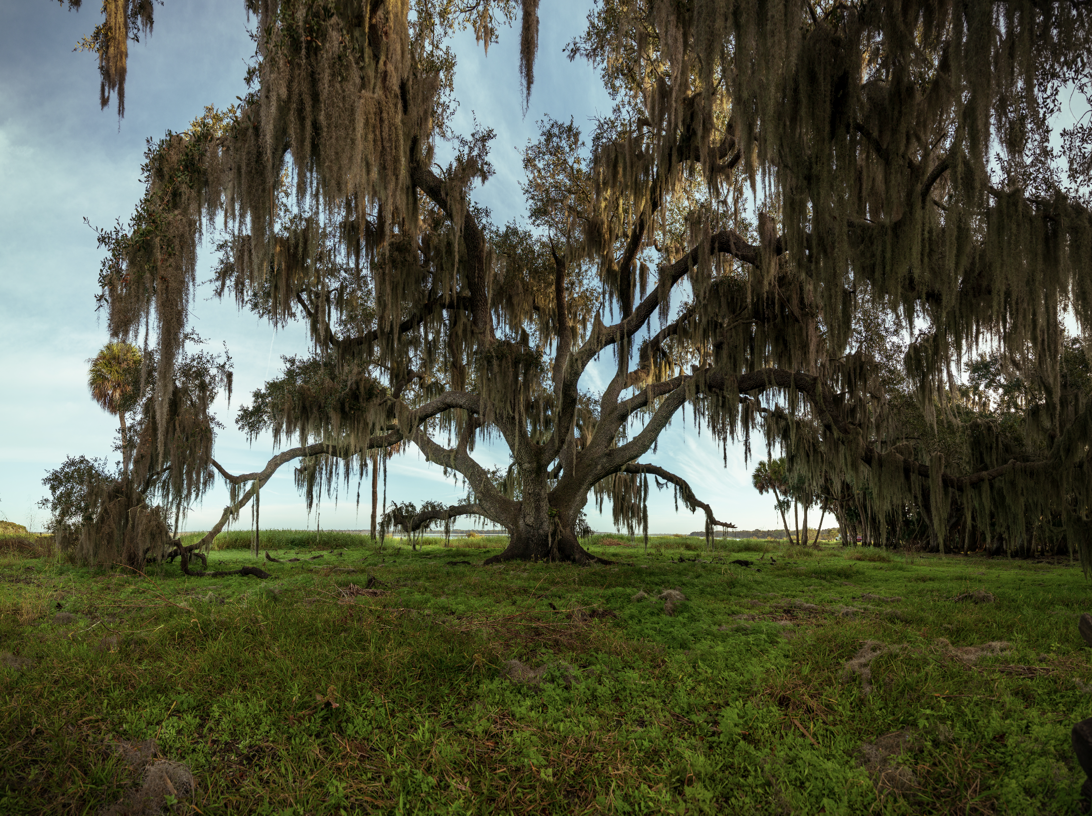 Screen Shot 2022-02-02 at 2.06.55 PM.png