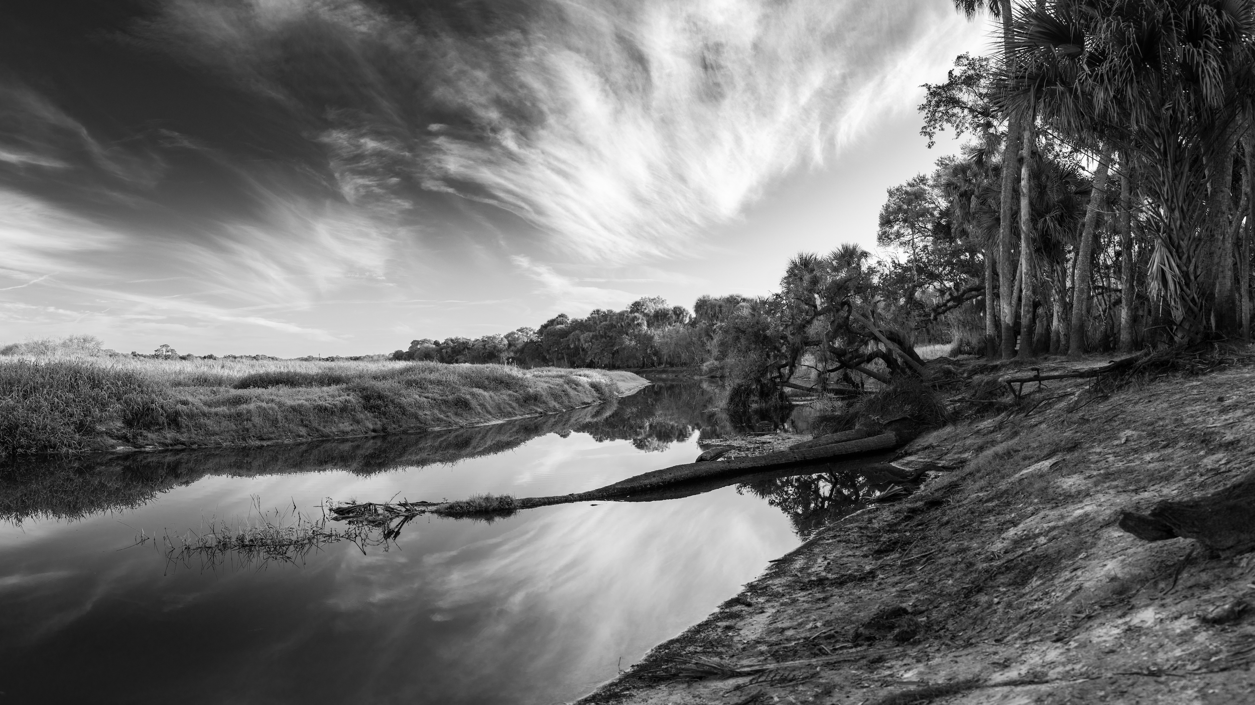 Screen Shot 2022-02-02 at 2.08.37 PM.png