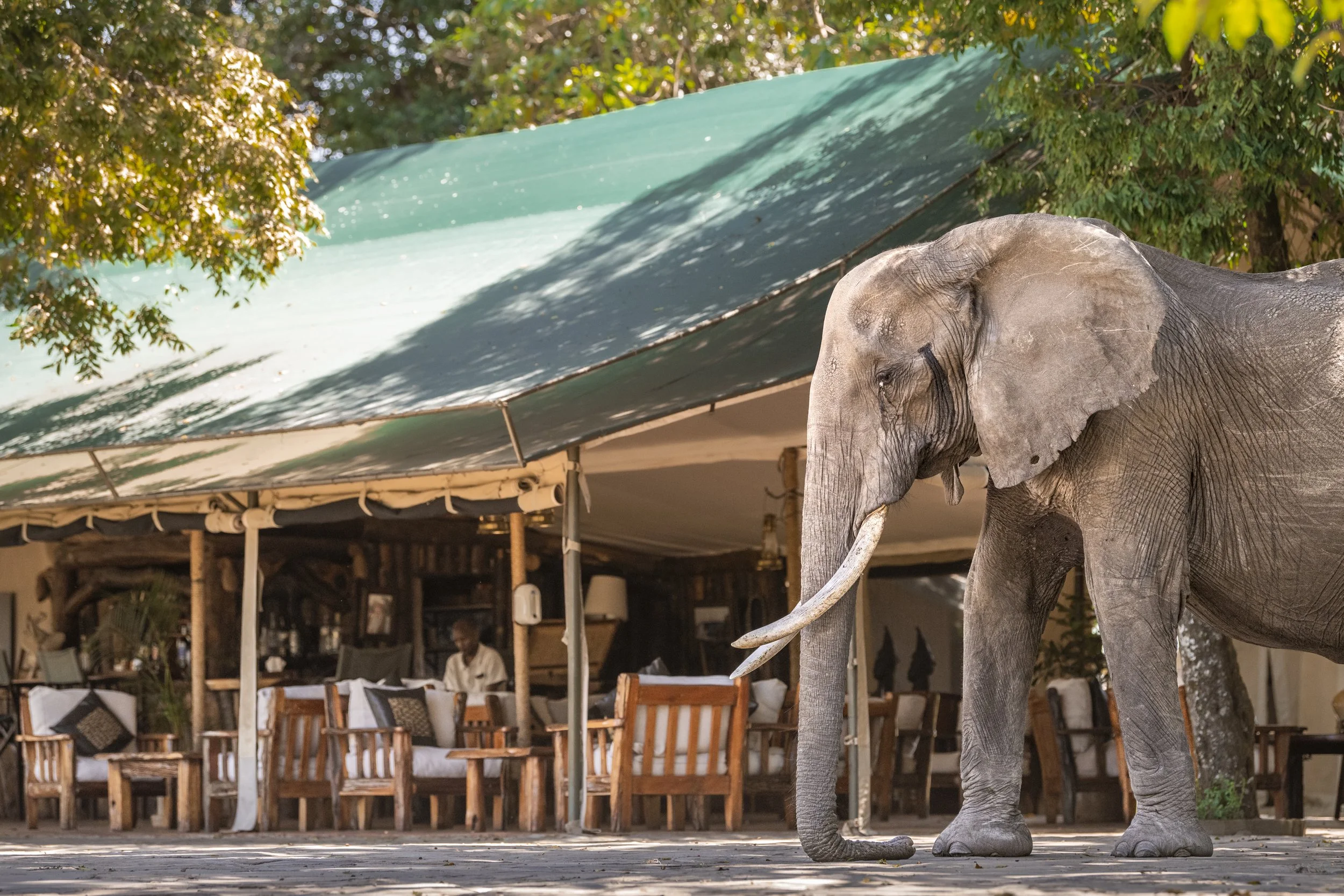 Kenya Marketing-14.jpg