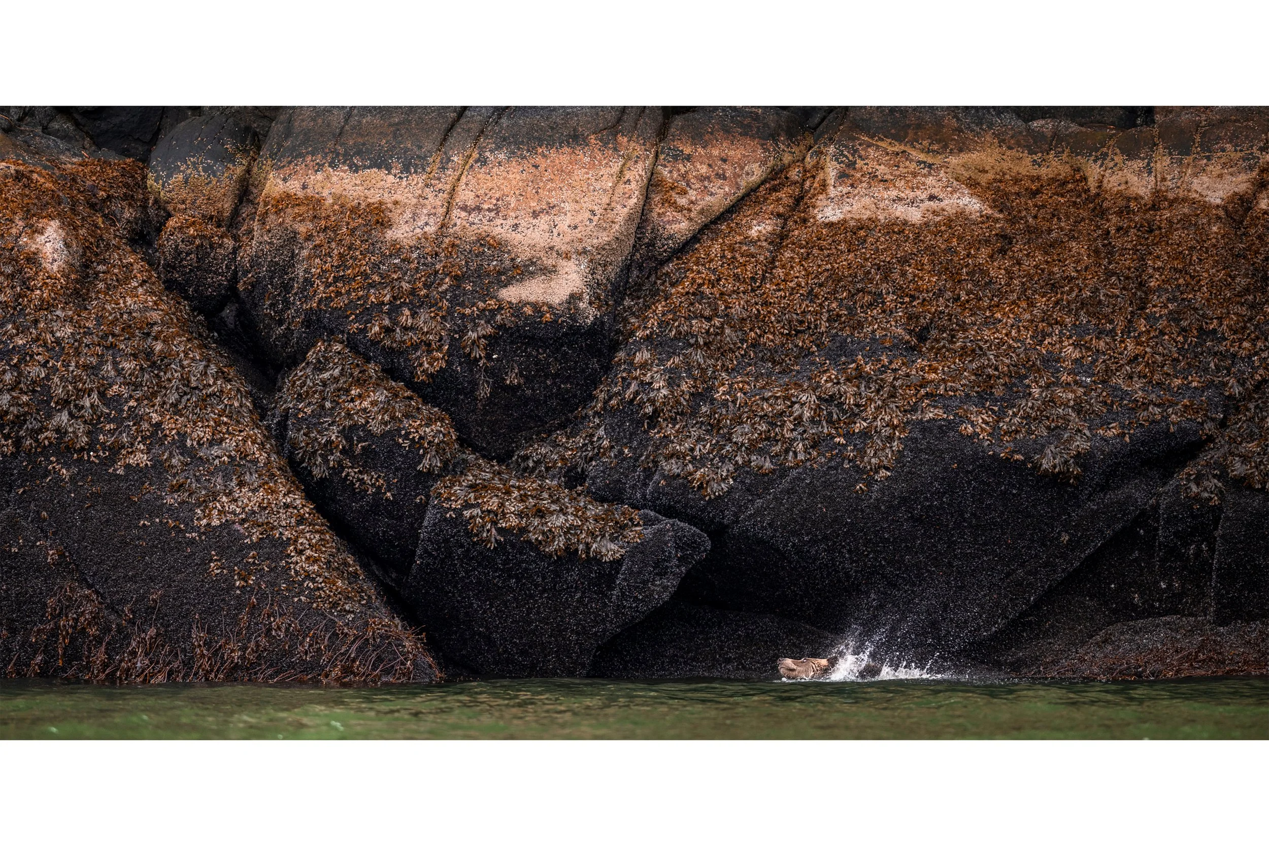 Untitled-2.jpg