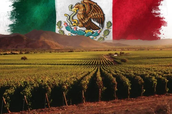 The Lounge at Domacin Presents: Wines of Mexico