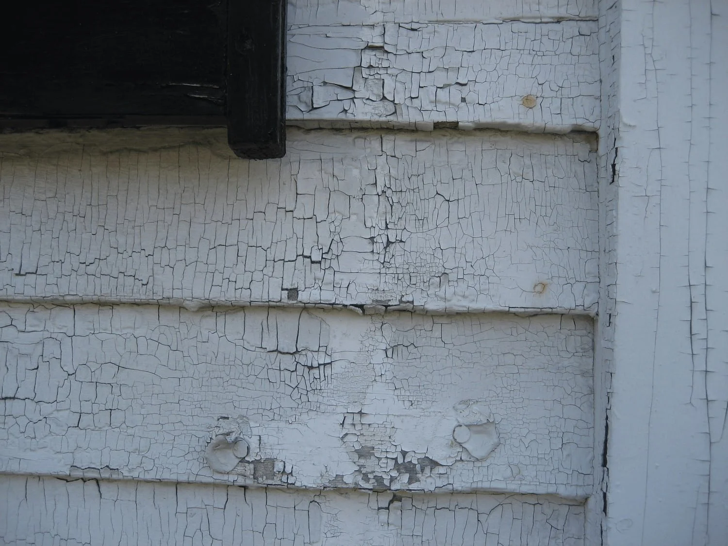 Severely deteriorated and cracking lead paint on clapboard siding of a pre-1978 home in Newburyport MA