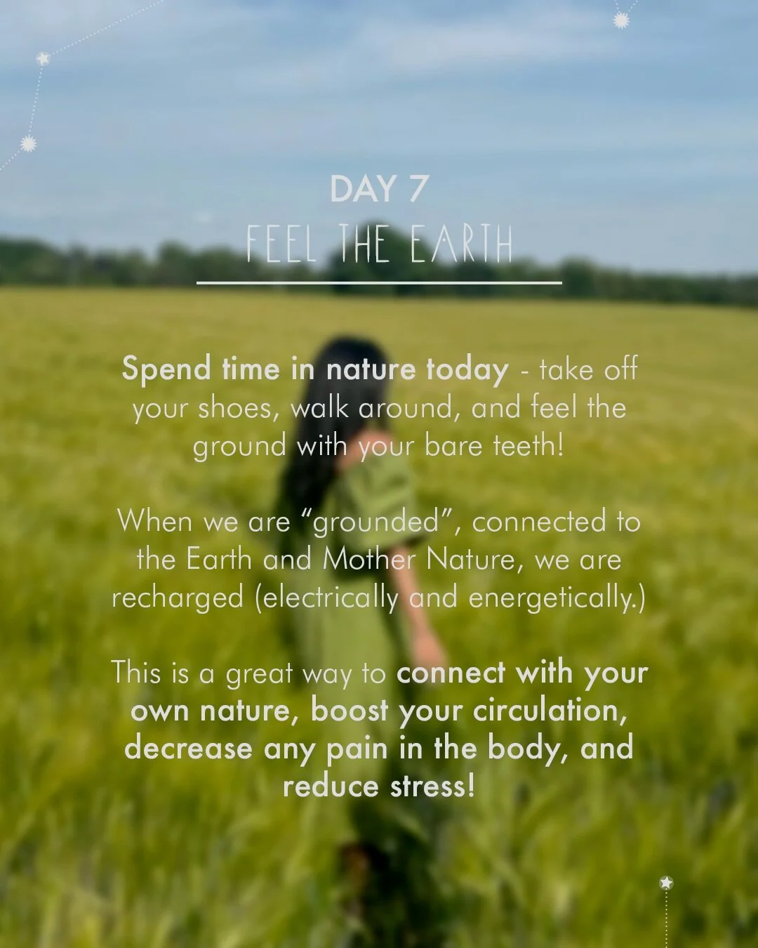Day+7A.jpg