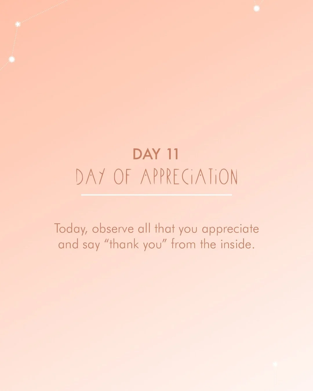 Day+11A.jpg