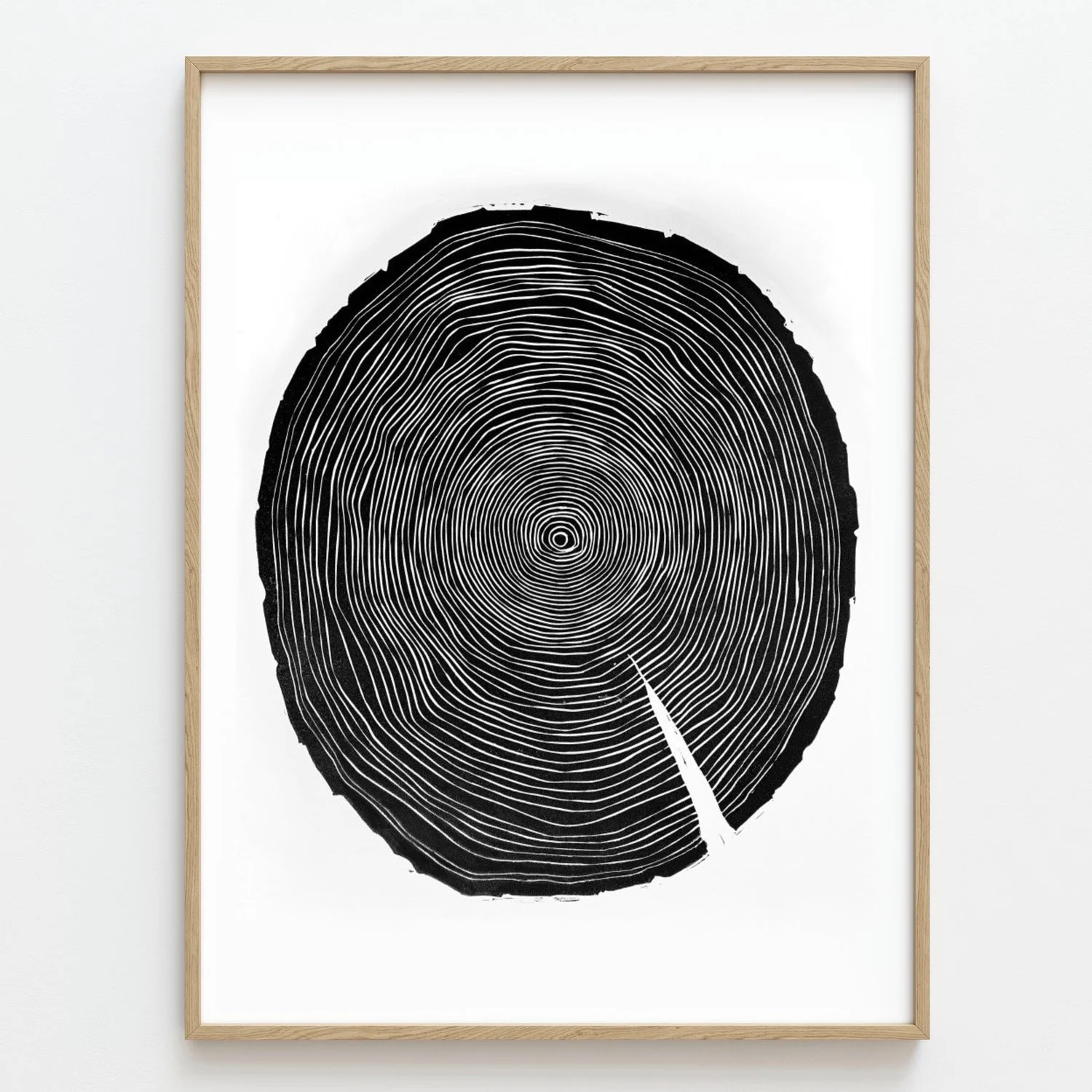 Mason, Tree Rings 12%22x9%22 Linocut.jpeg