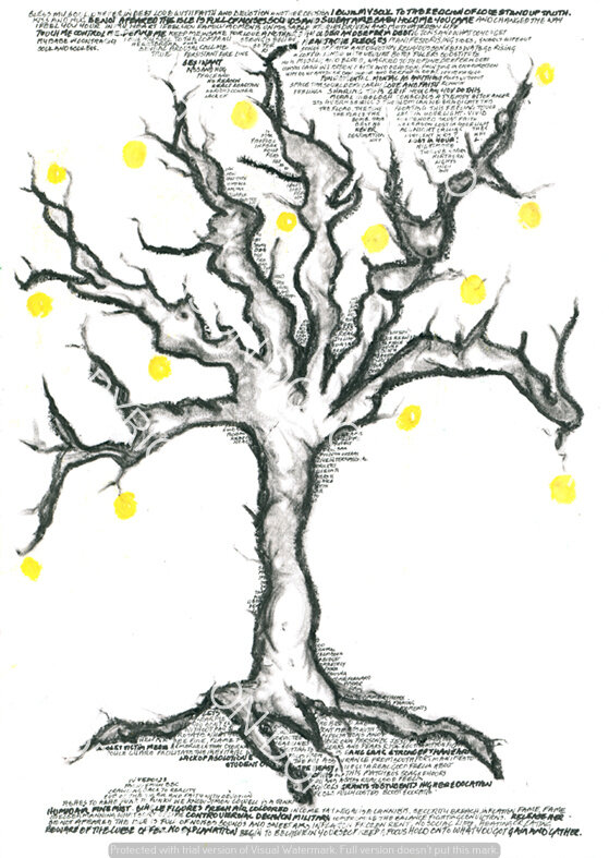Lemon tree.jpg
