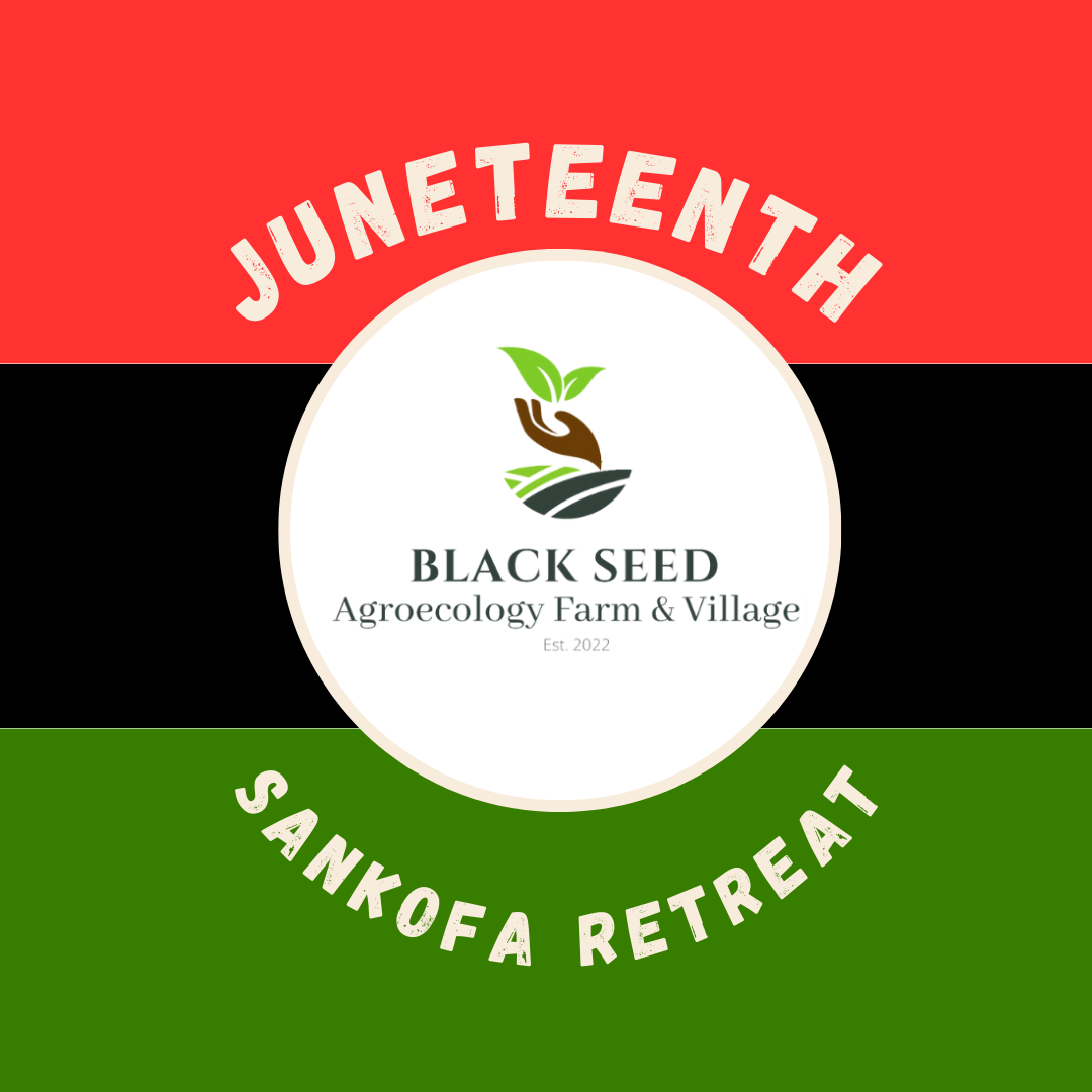 Copy of Juneteenth Freedom Day Instagram Post (1).png