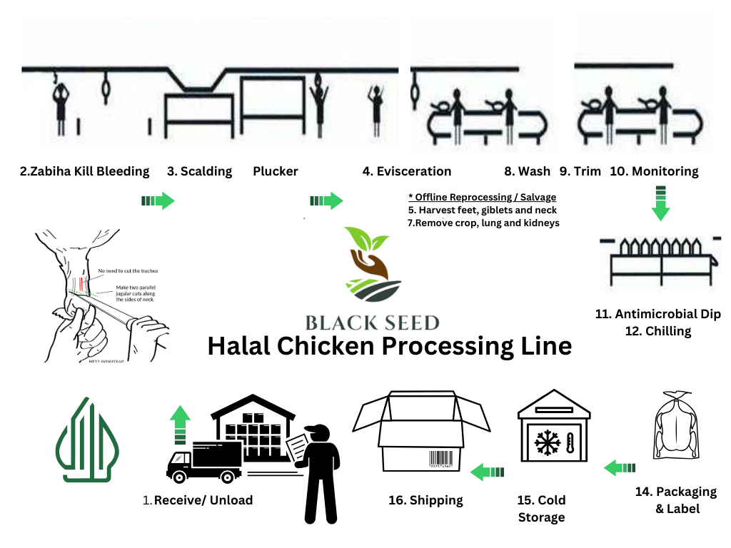 BSHMPT PRESENTATION (2).png