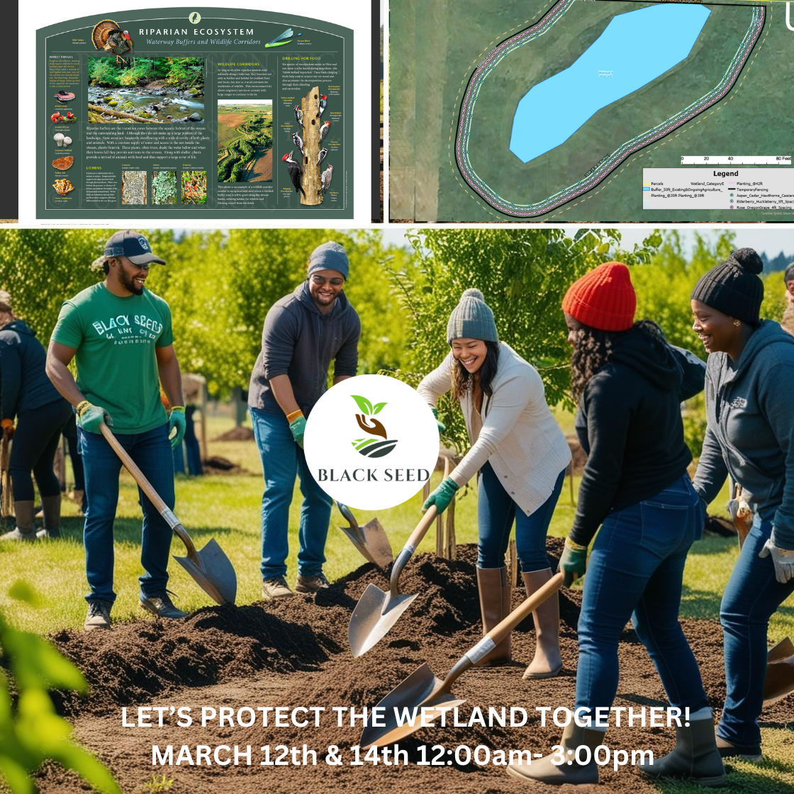 WE NEED YOUR HELP!! lETS SAVE THE WETLAND TOGETHER (2) (1).png
