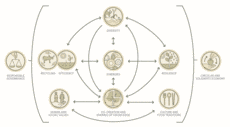 10 Elements of Argoecology.png