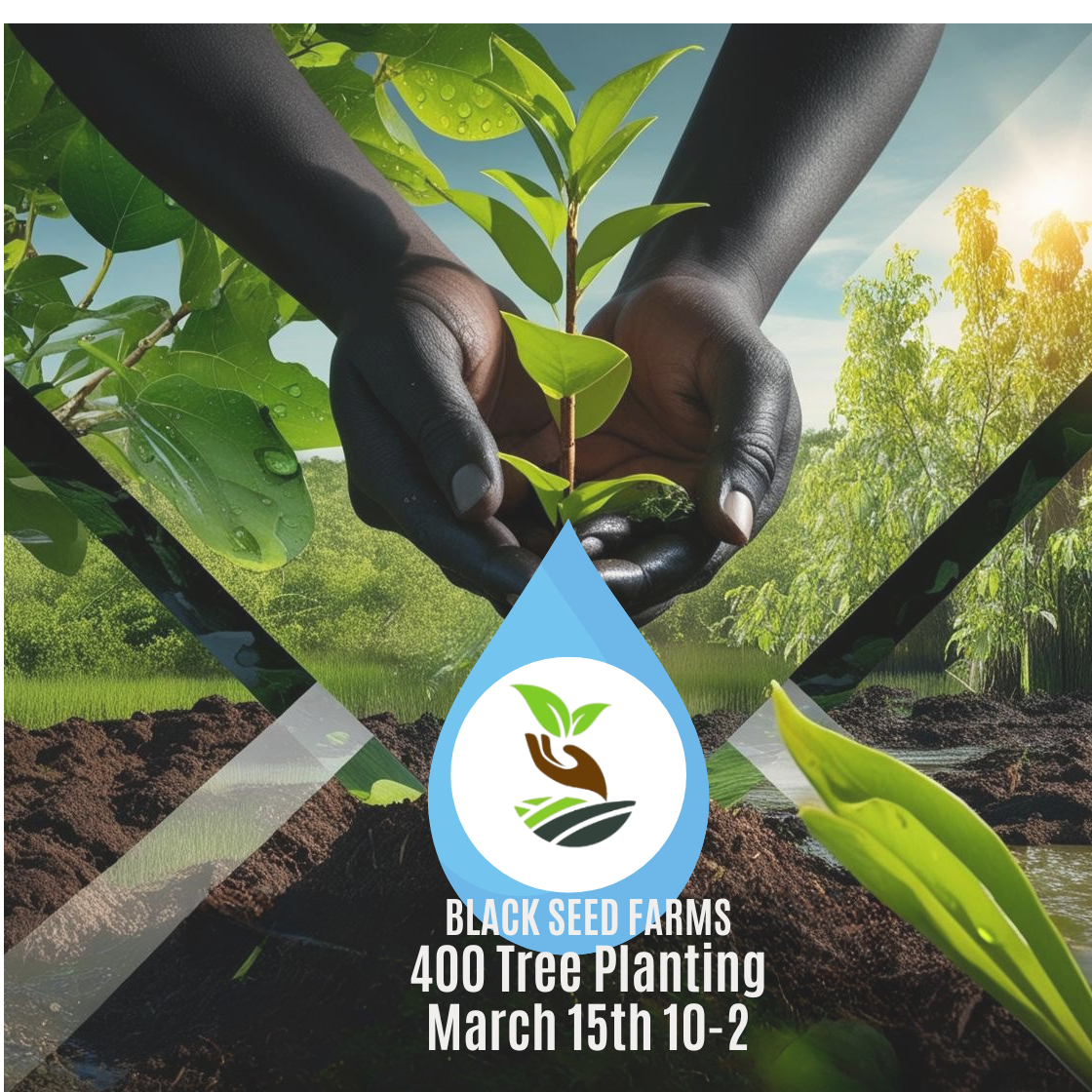 BLACK SEED FARMS 400 Tree Planting March 15th 10-2 (2).png