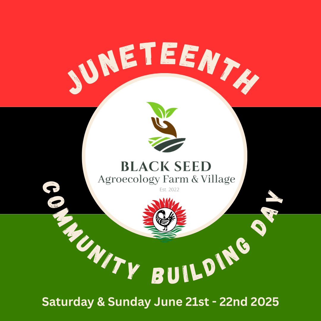 Copy of Juneteenth Freedom Day Instagram Post (4).png