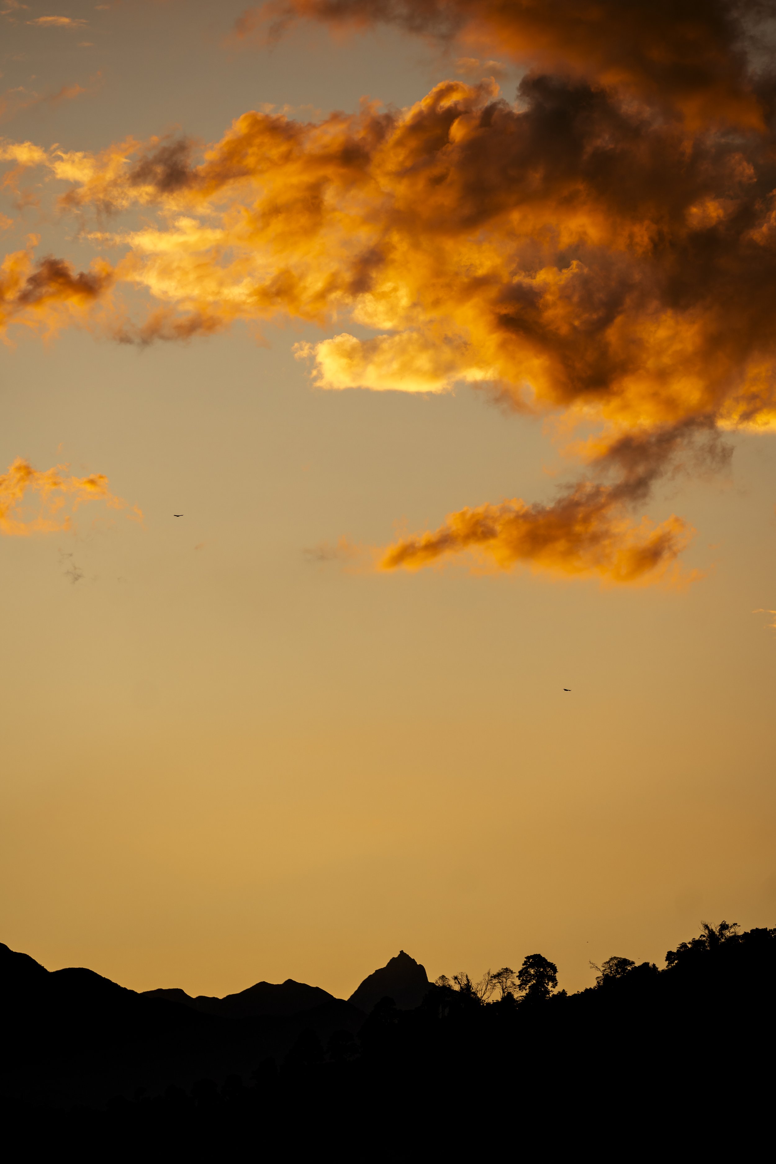 ATARDECE MIGUEL.jpg