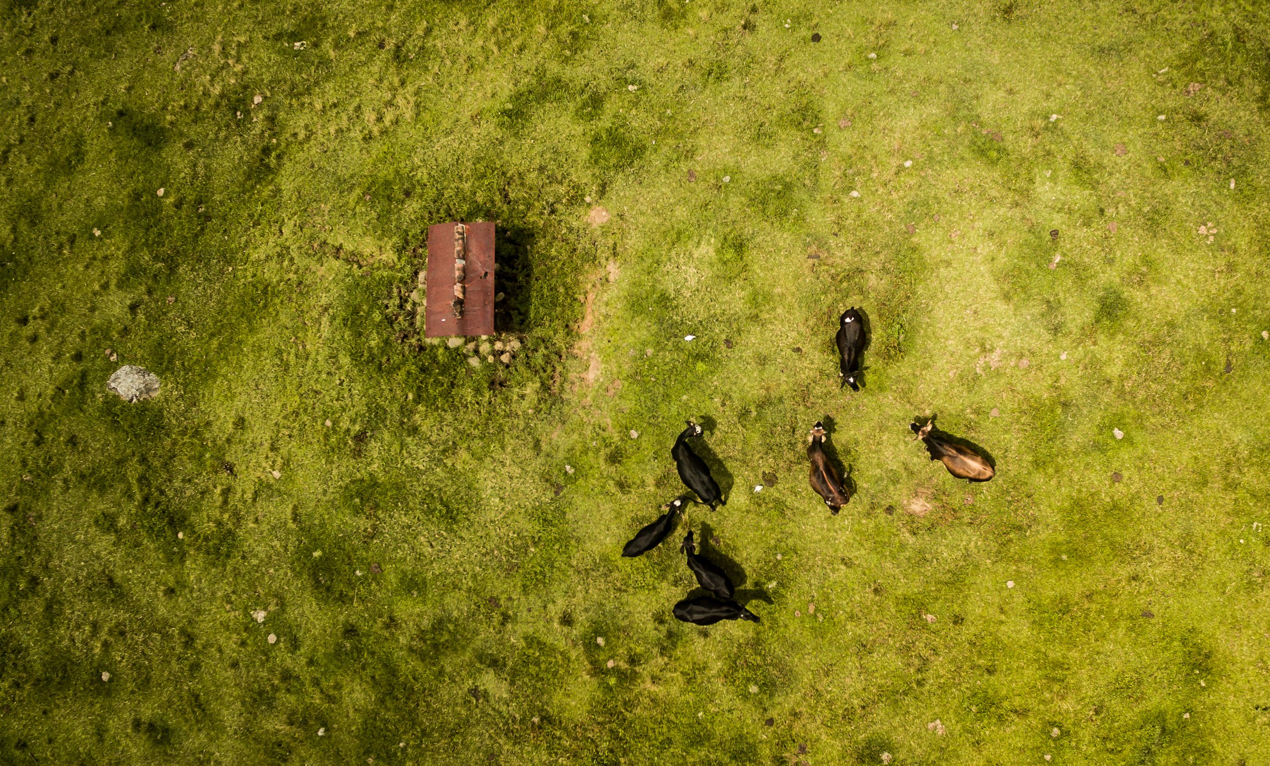 DJI_0103.jpg