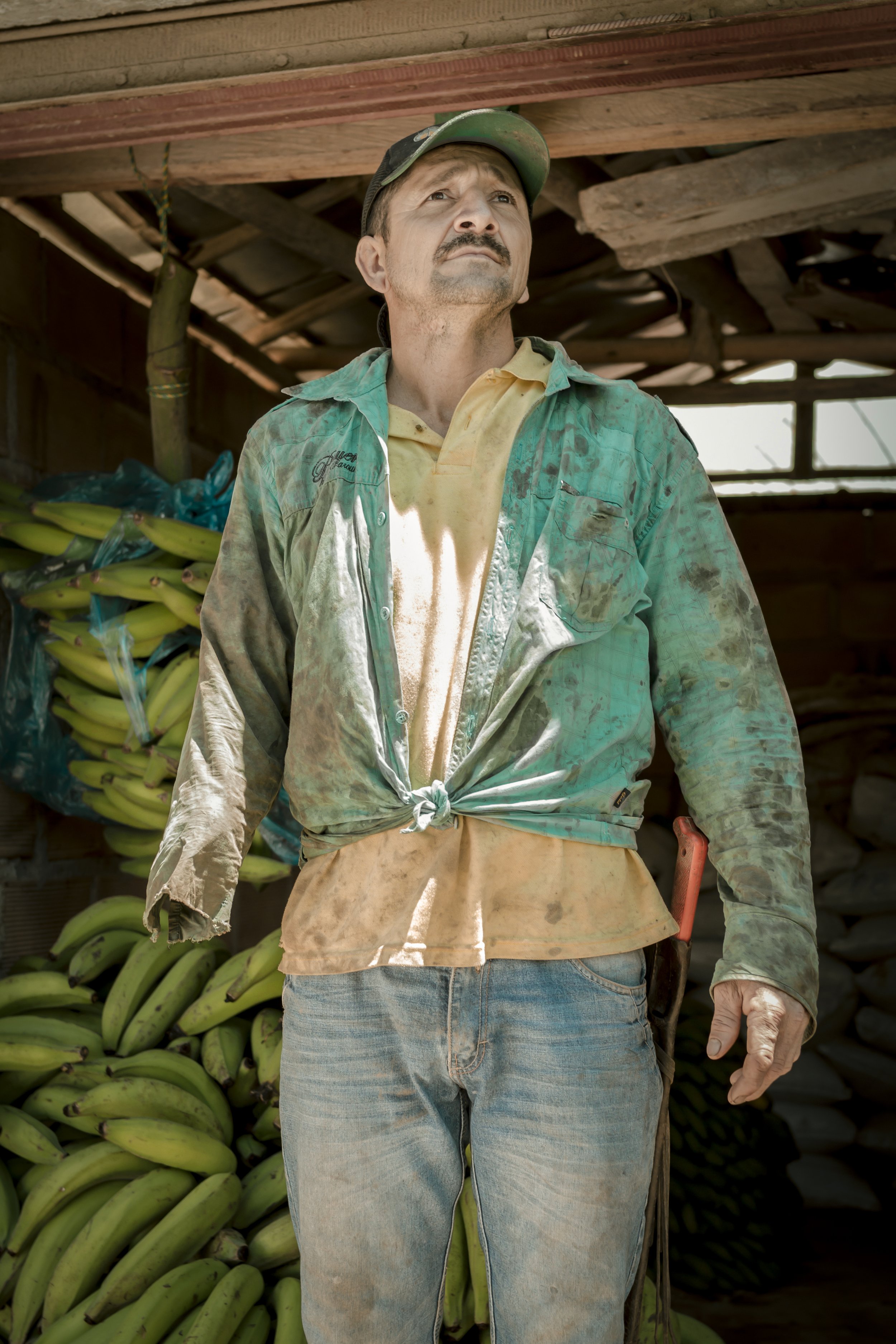 platano moc.jpg