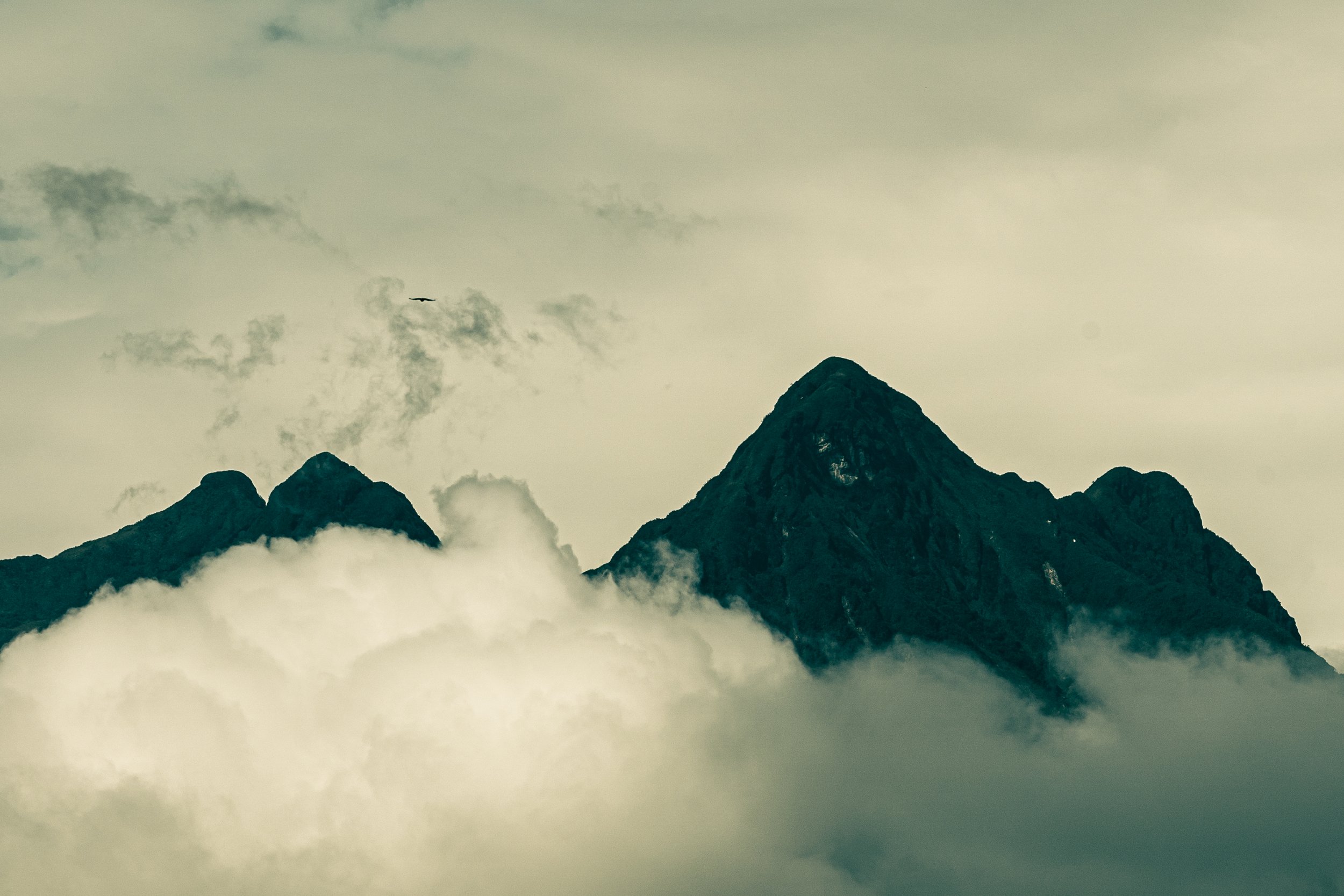 MONT1.jpg