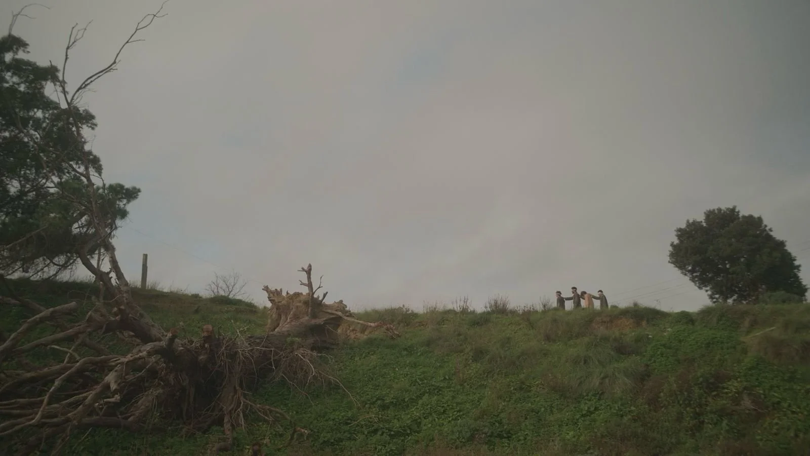 WhatsApp Image 2026-04-12 at 19.36.09.jpeg