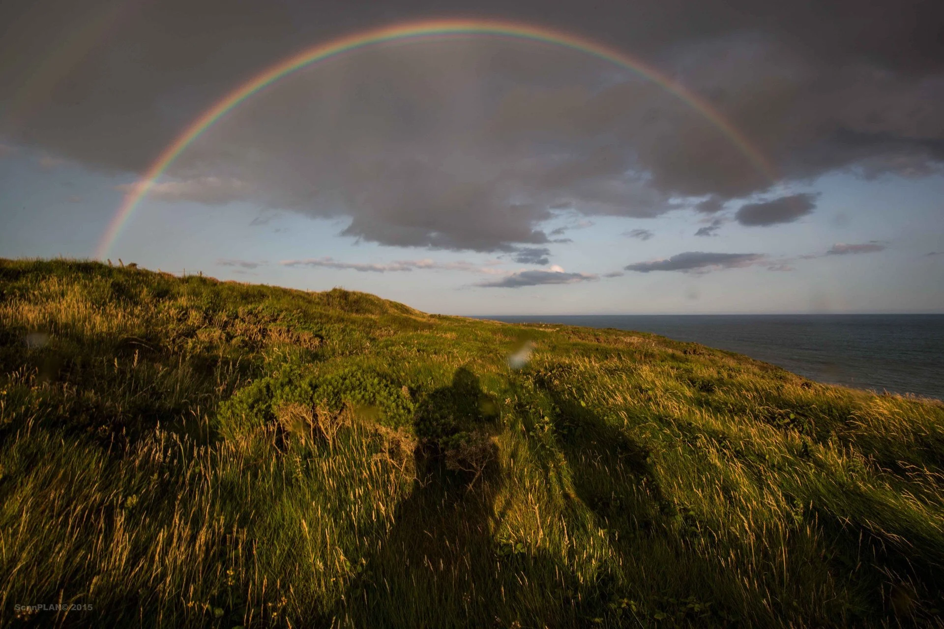 COAST ROAD 0715 Rainbow full 088A1564.jpg