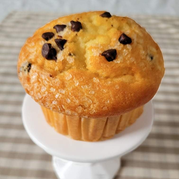 chocolate_chip_angled.jpeg