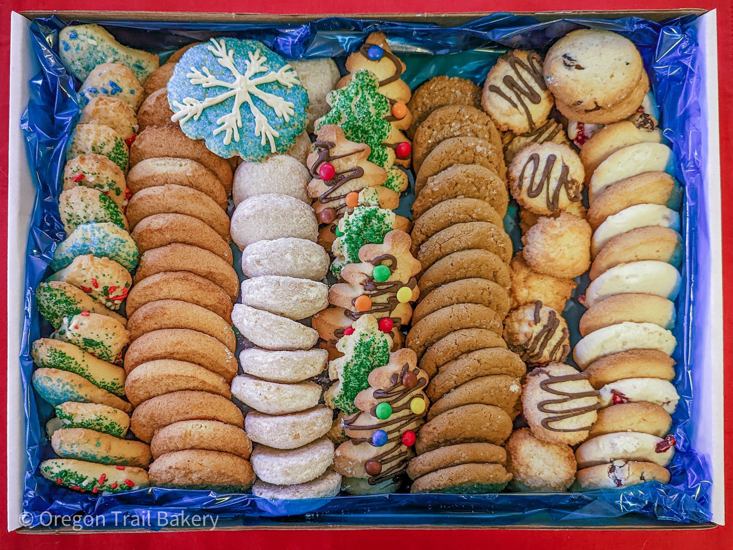 Large Assortment Contents Top Down Screen.jpg