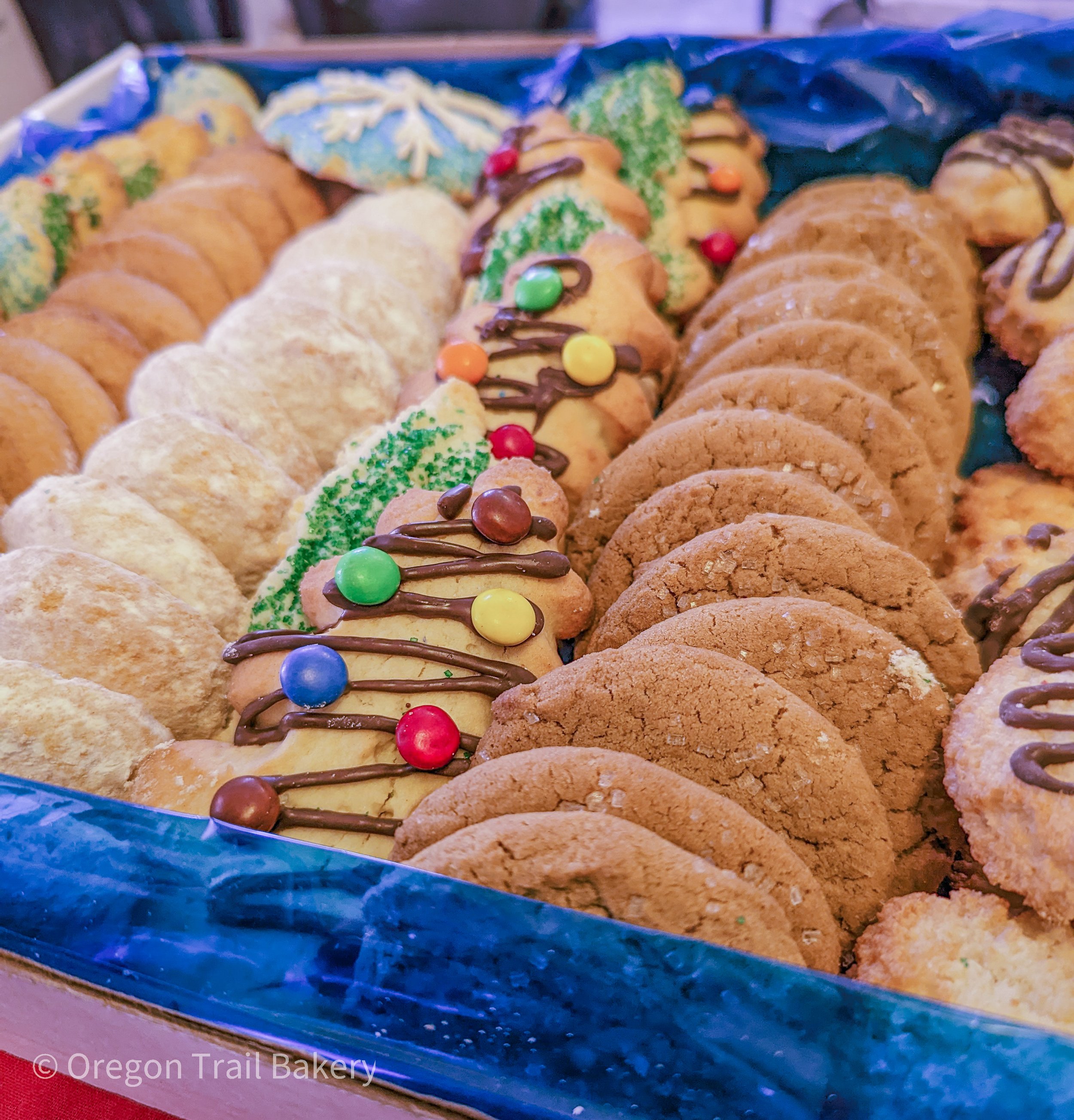 Large Assortment Contents Angled Close-up Screen.jpg
