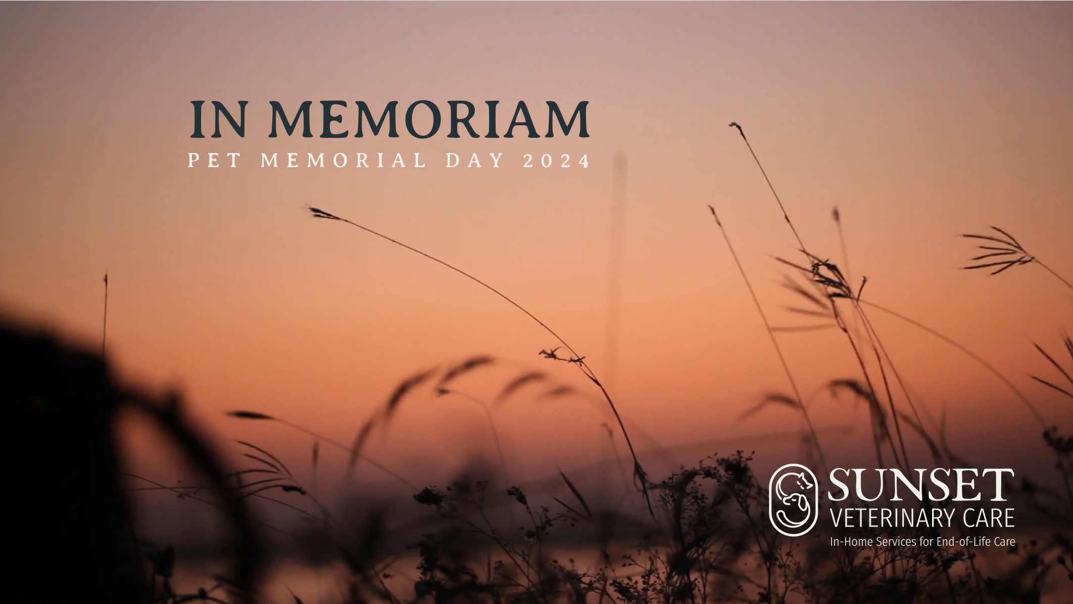 Pet Memorial Day 2024