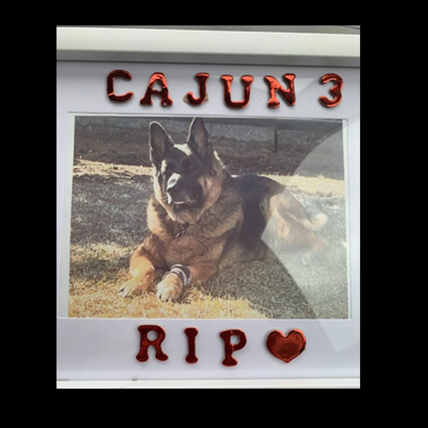 cajun_4.jpg
