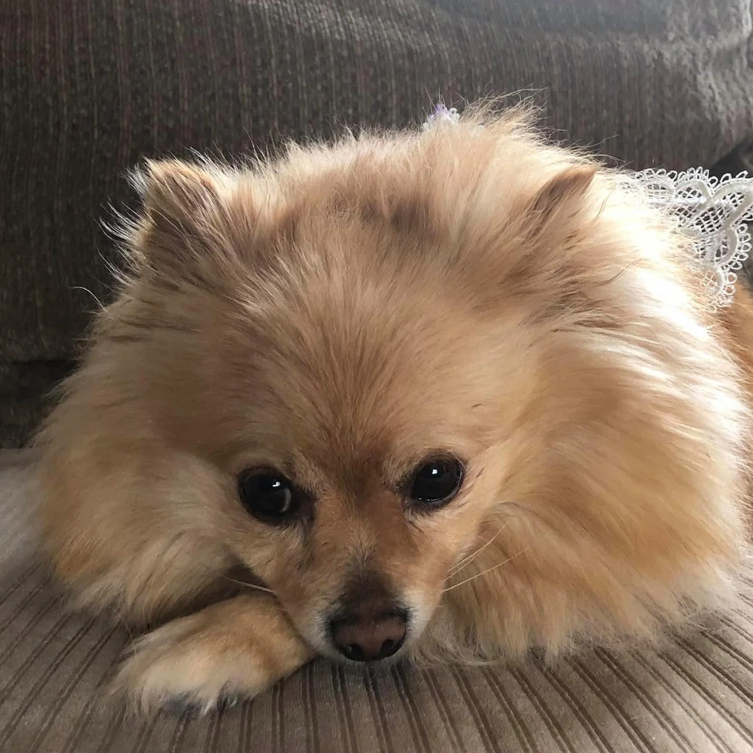 honey2.jpg