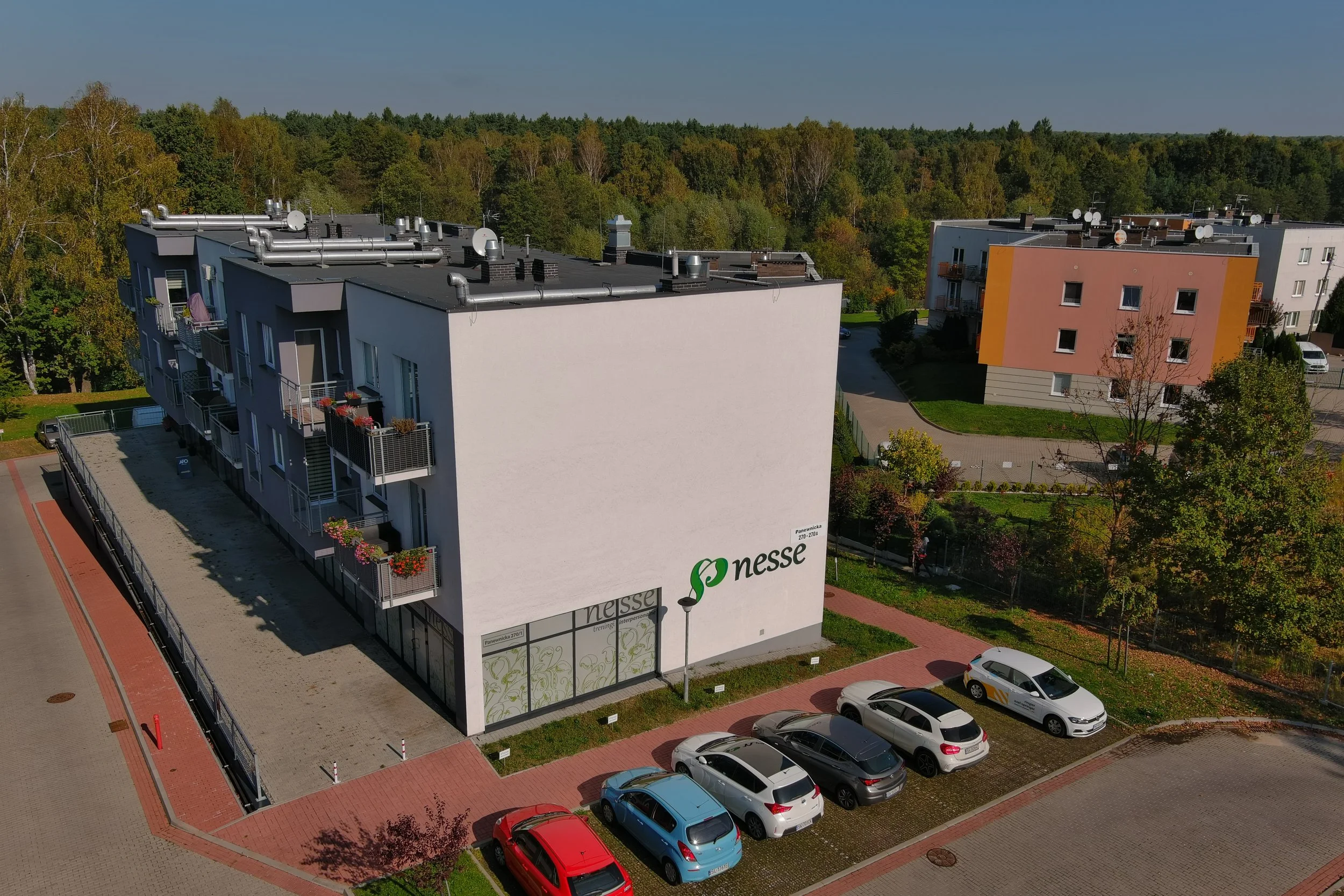 Historia Nesse na 14 urodziny