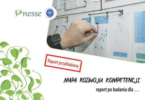 Sample NESSE Competency Development Map report – page 1 (in Polish)