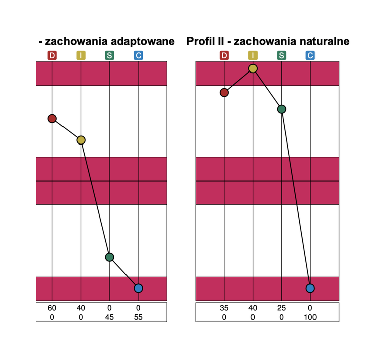 Sample Extended DISC charts: adapted and natural behaviour profiles