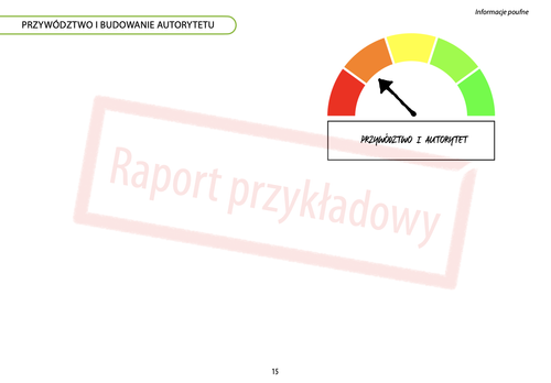 Sample NESSE Competency Development Map report – page 13 (in Polish)