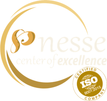 NESSE Center of Excellence