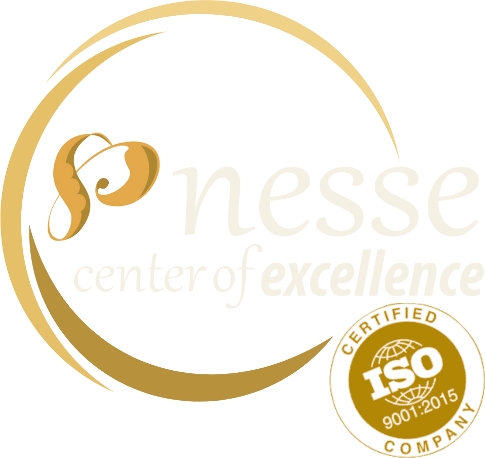 NESSE Center of Excellence