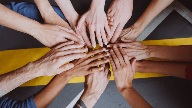 A team working together – NESSE Competency Development Map