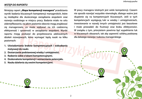 Sample NESSE Competency Development Map report – page 2 (in Polish)