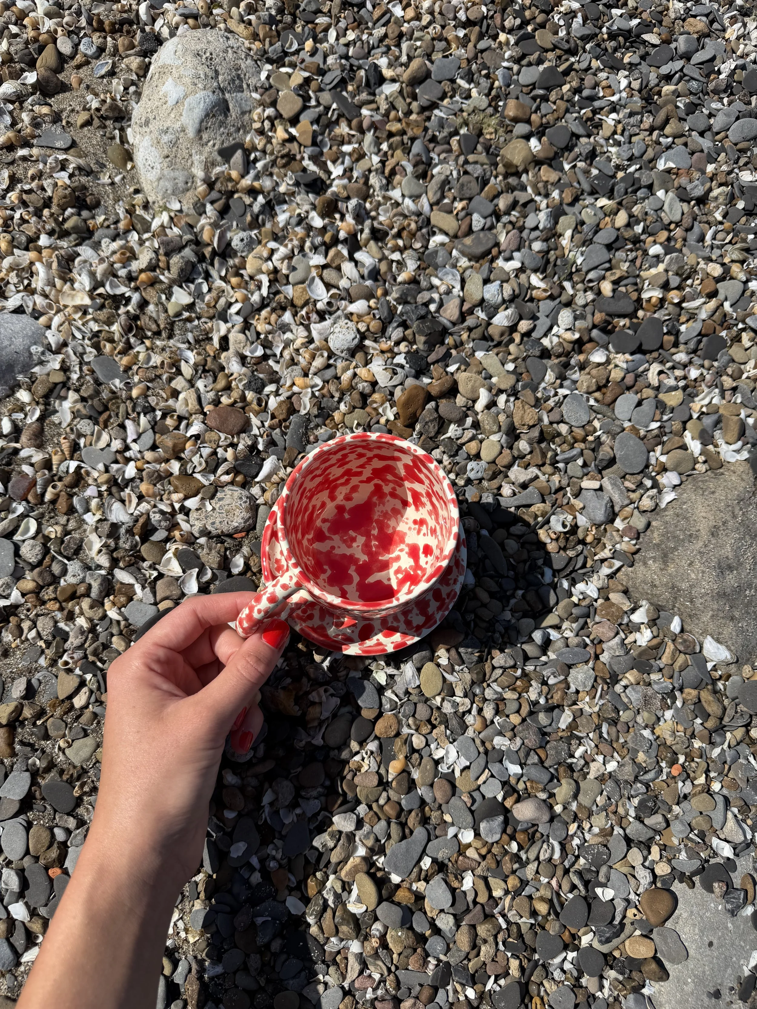 IMG_6909.jpeg