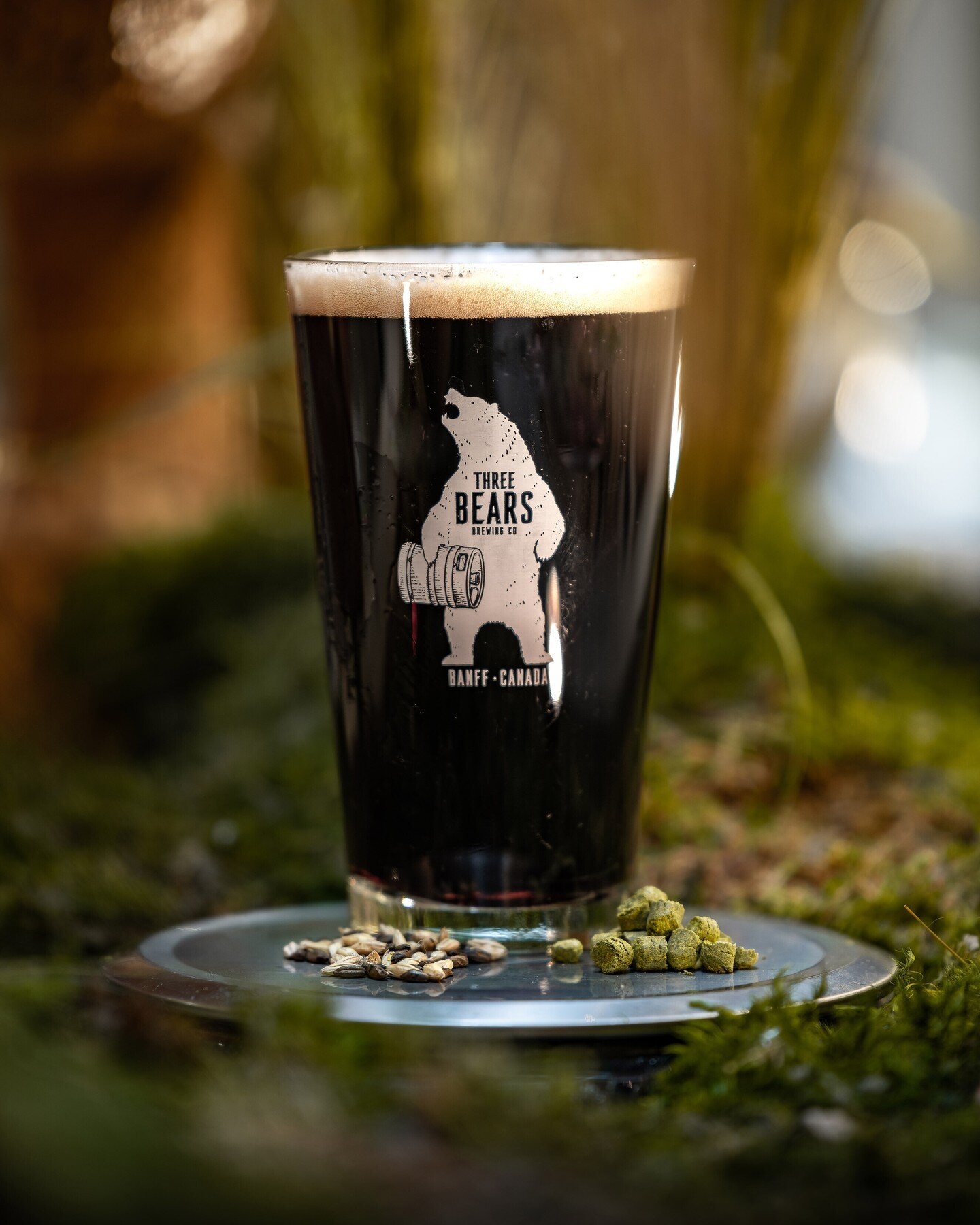 Grab a pint and help a great cause!
&lsquo;Original Gravity&rsquo; Oatmeal Gingerbread Stout, $1 from every pint donated to @ywcabanff
An oatmeal stout conditioned on ginger, cinnamon and cloves.
ABV 6.5% / IBU 18

Only around for a limited time so y