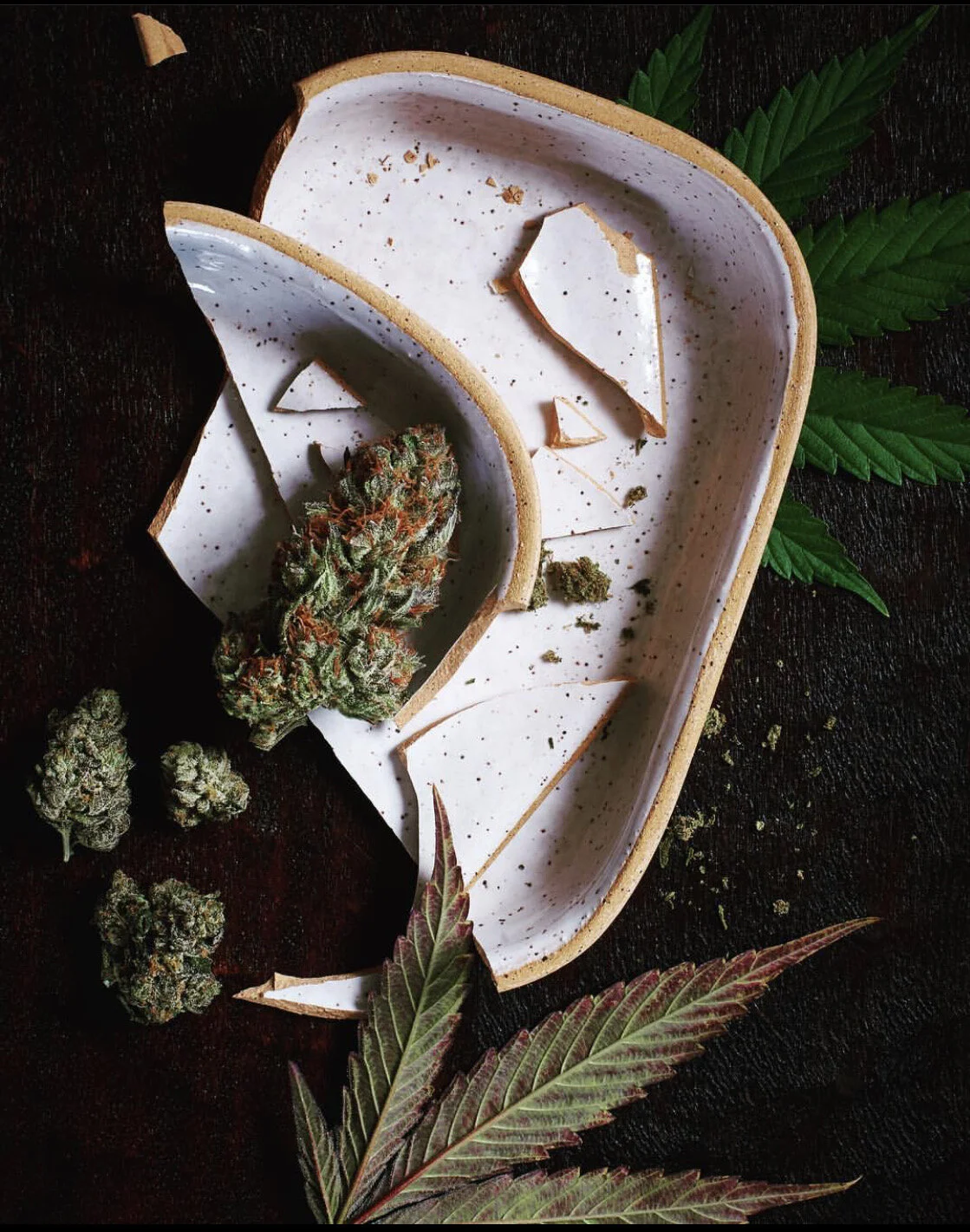 Professional, creative cannabis photography by Joe Holdsworth. Advertising, editorial, still life, lifestyle, and e-commerce.