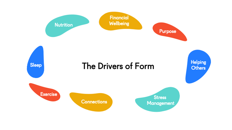Drivers of Form.png