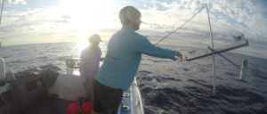 Geographe and South-west Corner Marine Parks 2020 Expedition 