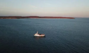 Ecology of offshore oil and gas platform - Wandoo Field